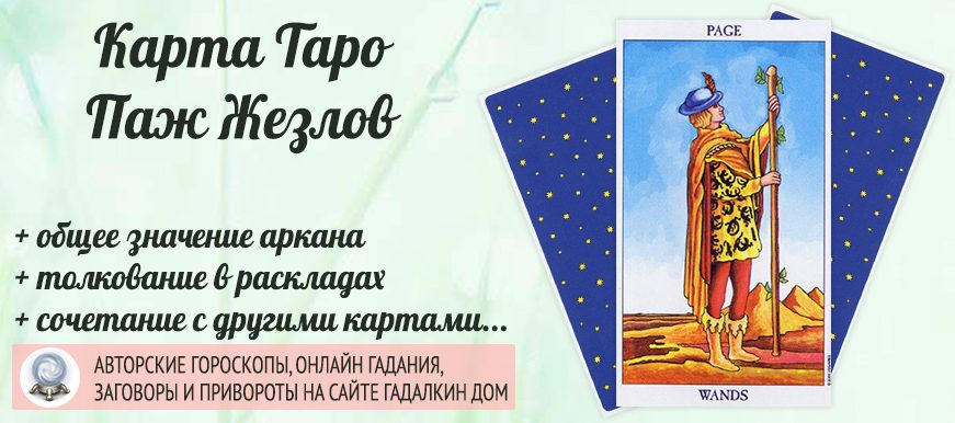 карта таро Паж Жезлов значение и сочетание