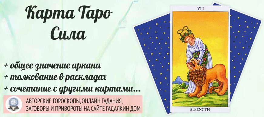 карта таро Сила значение и сочетание