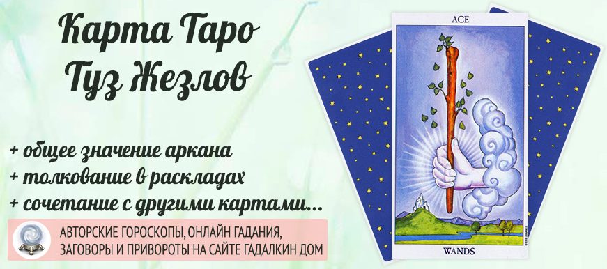 карта таро Туз Жезлов значение и сочетание